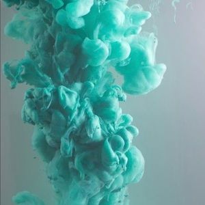 Meet your Posher, Bri